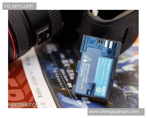 独家解析：WE战队配合风格对比与战术演变全景分析